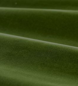 Cotton Velvet Performance Fabric by Zoffany Evergreen