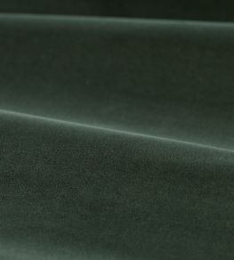 Cotton Velvet Performance Fabric by Zoffany Green Slate