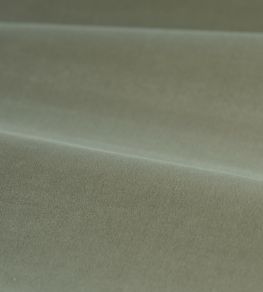 Cotton Velvet Performance Fabric by Zoffany Mist