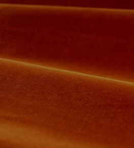 Cotton Velvet Performance Fabric by Zoffany Terracotta