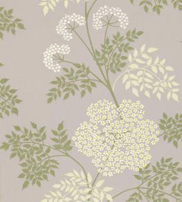 Cowparsley Wallpaper by Sanderson Amethyst