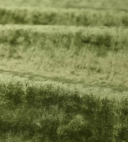 Curzon Fabric by Zoffany Deep Fern