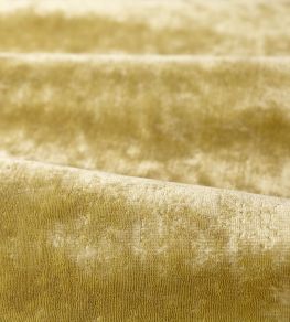 Curzon Fabric by Zoffany Green Tea