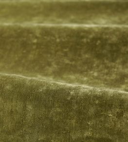Curzon Fabric by Zoffany Spanish Olive