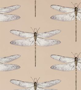 Demoiselle Wallpaper by Harlequin Positano/First Light/Taupe