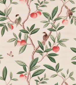 Ella Wallpaper by Harlequin Powder / Sage / Peach