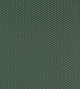 Equator Fabric by Clarke & Clarke Forest