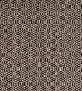 Equator Fabric by Clarke & Clarke Noir
