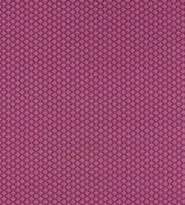 Equator Fabric by Clarke & Clarke Raspberry