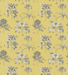 Etchings & Roses Fabric by Sanderson Empire Yellow