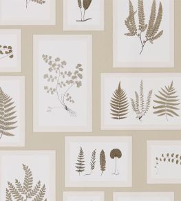 Fern Gallery Wallpaper by Sanderson Linen/Sepia