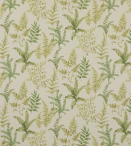 Ferndown Fabric by Baker Lifestyle Green