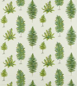 Fernery Embroidery Fabric by Sanderson Botanical Green