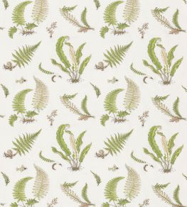 Ferns Embroidery Fabric by GP & J Baker Green