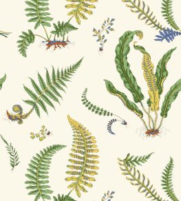 Ferns Wallpaper by GP & J Baker Emerald