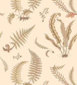 Ferns Wallpaper by GP & J Baker Parchment