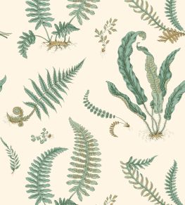 Ferns Wallpaper by GP & J Baker Verdigris