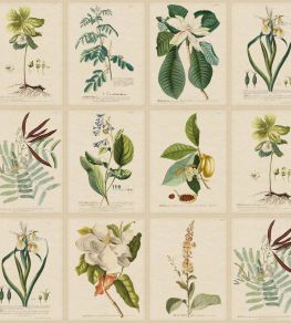 Flora Wallpaper by Sandberg Green