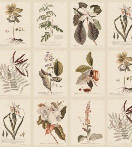 Flora Wallpaper by Sandberg Sepia