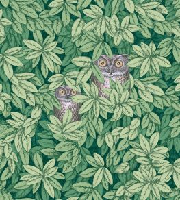 Foglie e Civette Wallpaper by Cole & Son Forest Green