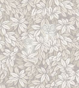 Foglie e Civette Wallpaper by Cole & Son White