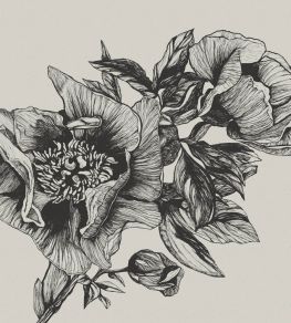 Giant Peonies Mural by Coordonne Ink
