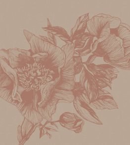 Giant Peonies Mural by Coordonne Nude