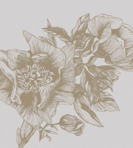 Giant Peonies Mural by Coordonne Papirus
