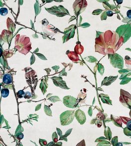 Goldfinch Song Wallpaper by Coordonne Cotton