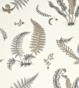 Ferns Wallpaper by GP & J Baker Dove Grey/Silver