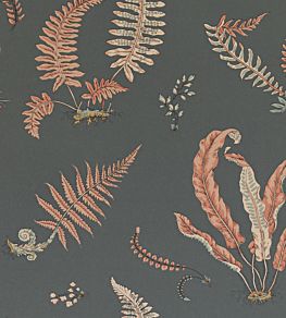 Ferns Wallpaper by GP & J Baker Coral/Charcoal