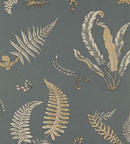 Ferns Wallpaper by GP & J Baker Charcoal/Bronze
