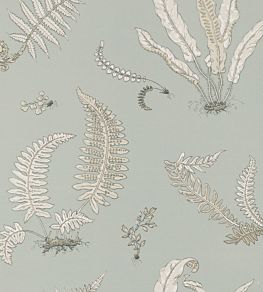 Ferns Wallpaper by GP & J Baker Soft Blue