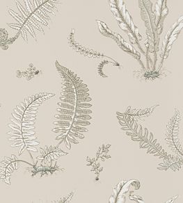 Ferns Wallpaper by GP & J Baker Linen