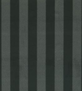 Haldon Fabric by Clarke & Clarke Ebony