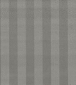 Haldon Fabric by Clarke & Clarke Graphite