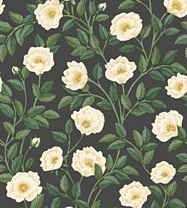 Hampton Roses Wallpaper by Cole & Son Cream Forest