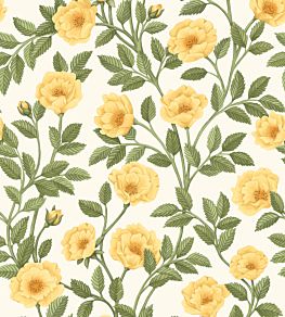 Hampton Roses Wallpaper by Cole & Son Marigold
