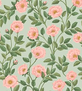 Hampton Roses Wallpaper by Cole & Son Rose Leaf