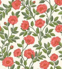 Hampton Roses Wallpaper by Cole & Son Rouge Spring