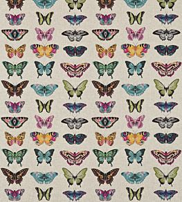 Papilio Fabric by Harlequin Flamingo/Papaya/Loganberry