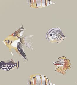 Kamanu Wallpaper by Harlequin Mandarin/Fig