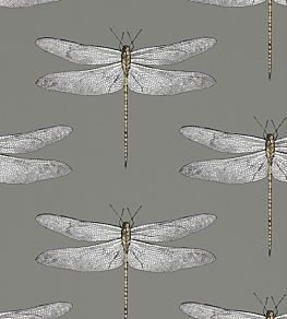 Demoiselle Wallpaper by Harlequin Graphite/Almond