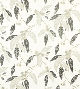 Coppice Fabric by Harlequin Platinum/Ebony