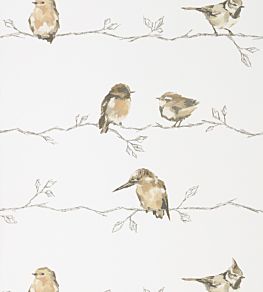 Persico Wallpaper by Harlequin Neutral/Chalk