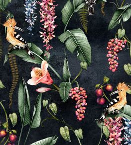 Hoopoe Garden Wallpaper by Avalana Charcoal