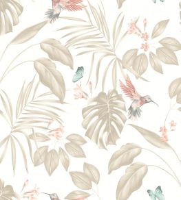 Hummingbird Wallpaper by Ohpopsi Oyster