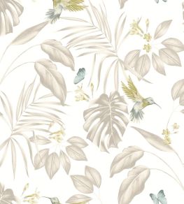 Hummingbird Wallpaper by Ohpopsi Pearl