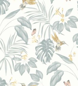 Hummingbird Wallpaper by Ohpopsi Wedgewood
