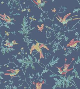 Hummingbirds Wallpaper by Cole & Son Multi, Petrol on Midnight